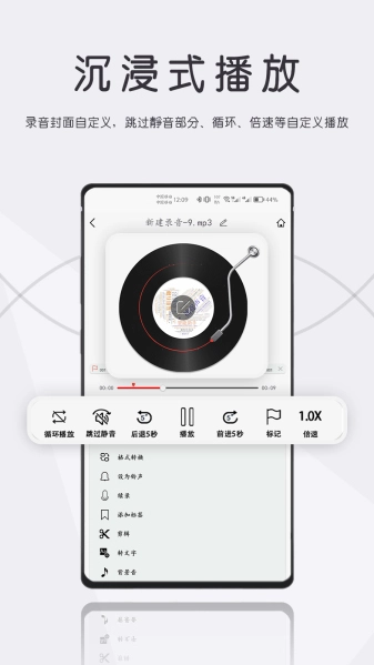大录音师正版