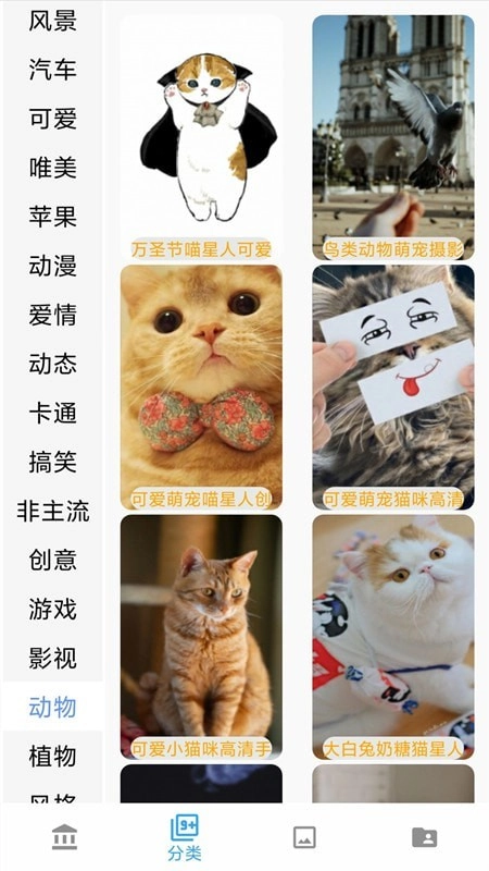 超清壁纸精选安装包下载