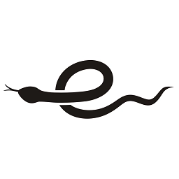 小蛇浏览器官方最新版