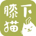 膝下猫官方最新版