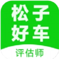 松子评估最新版