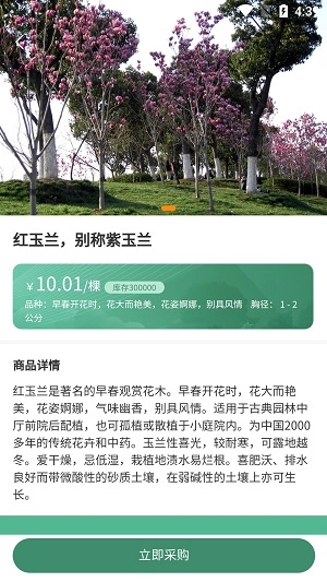 一千零一叶官方正版图2