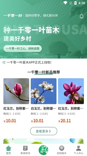 一千零一叶官方正版图3