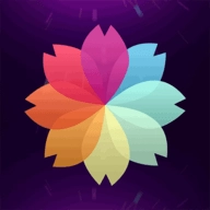 灵猫主题壁纸正版