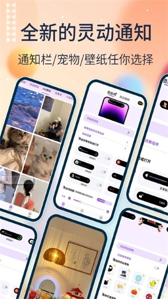 多多灵动组件直装版图3