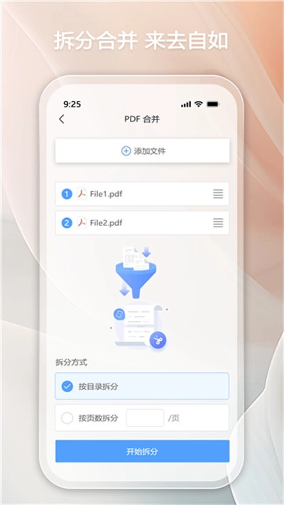 金闪pdf免费原版图2