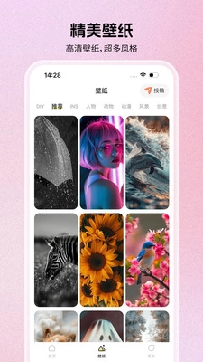 组件岛Widget Island手机最新版图5