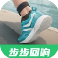 步步回响直装版