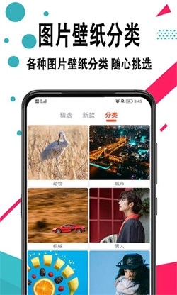 轩优壁纸通用版图5