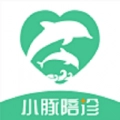 小豚陪诊手机免费版