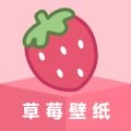 草莓壁纸大全官方正版