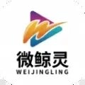 微鲸灵安卓版