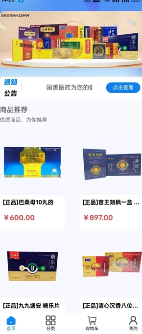 国善医药原版图4