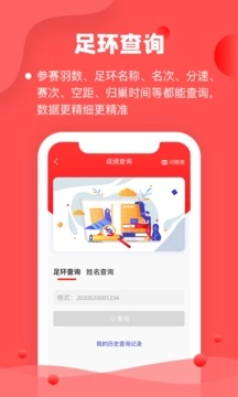 信鸽纵横管理端免费原版图4