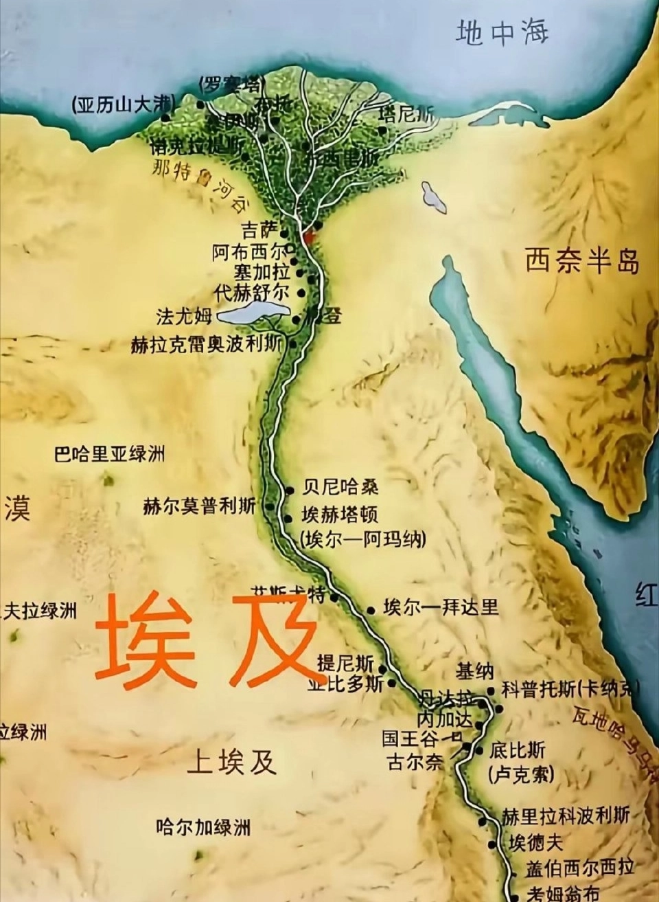 埃及地图手机版