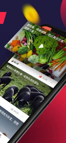 趣多拍直装版图1