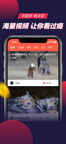 趣多拍直装版图3