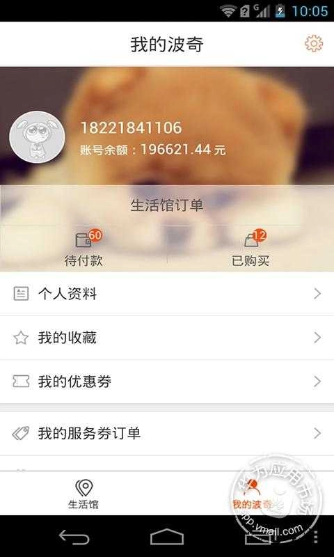 宠物服务