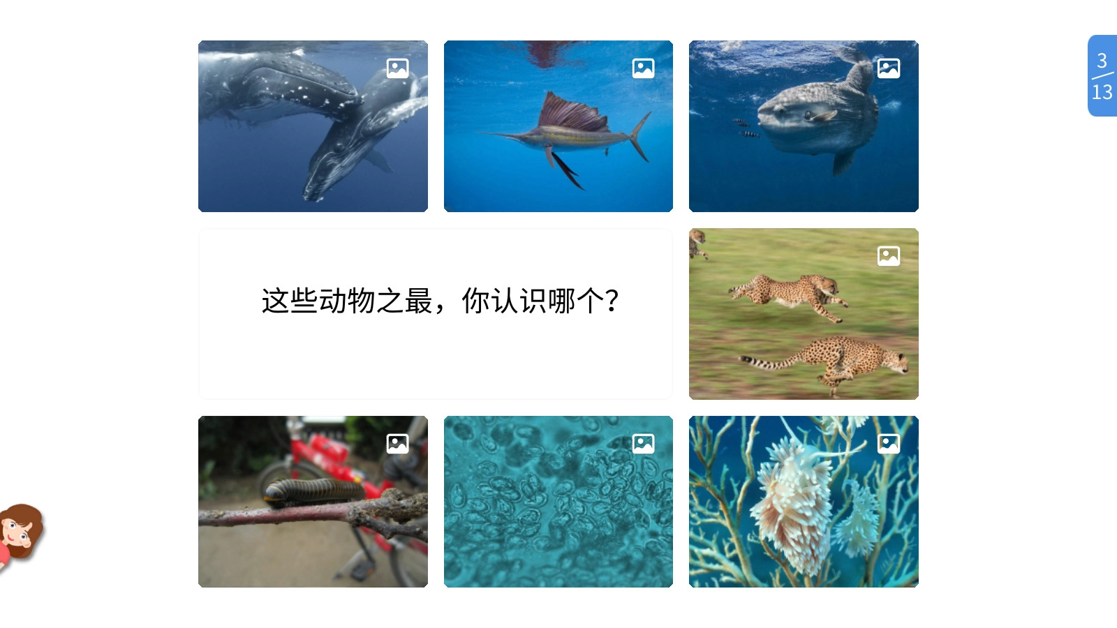 vbook科学官方正版图2