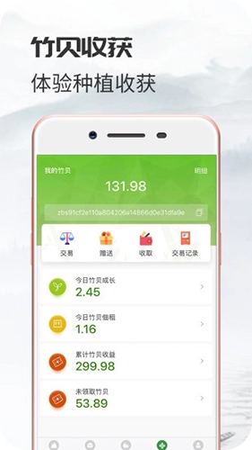 竹贝免费原版图5