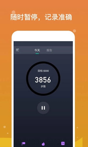 专业计步官方最新版图3