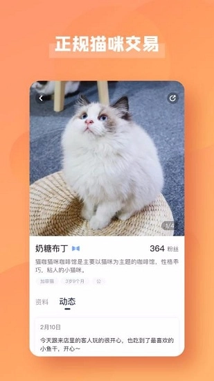 宠酱手机免费版图3