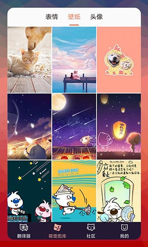猫语翻译器最新版图2