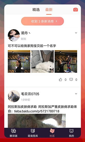 猫语翻译器最新版图4