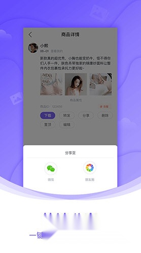 团队相册正式版下载