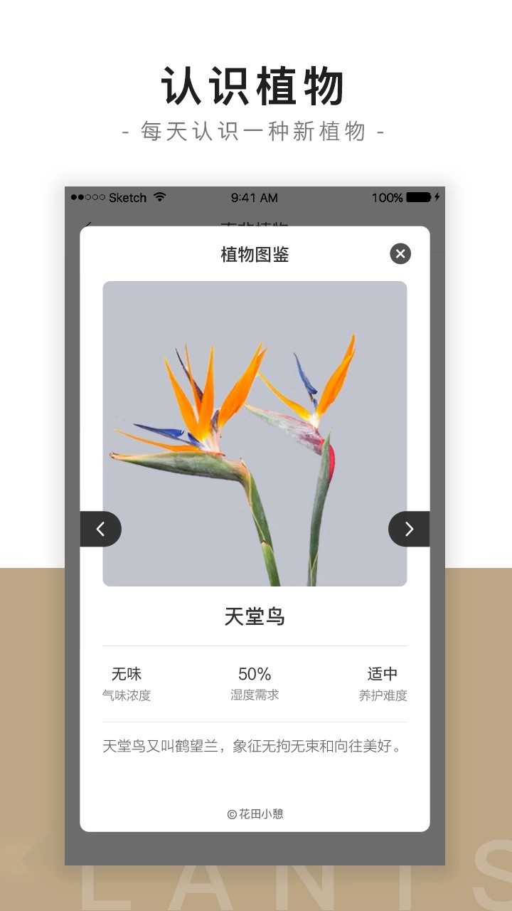 花田小憩无广告版图1