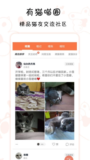 领喵免费版图1