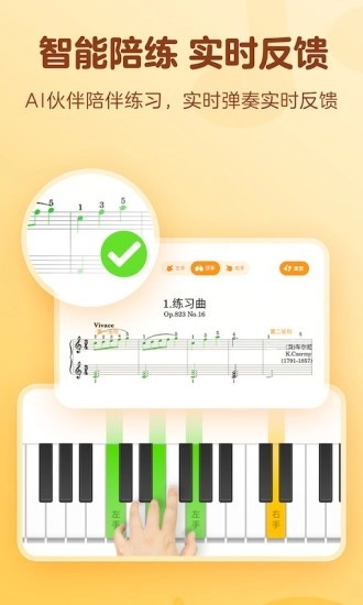 有道爱乐原版图2