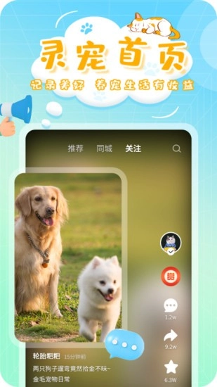 灵宠大陆手机版图2