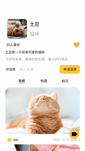 咕噜宠物平台正版图5