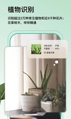 万物识图app下载