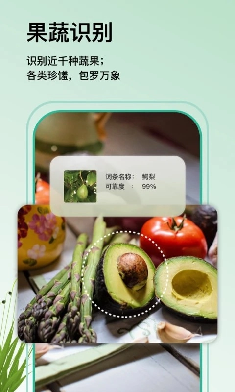 万物识图5