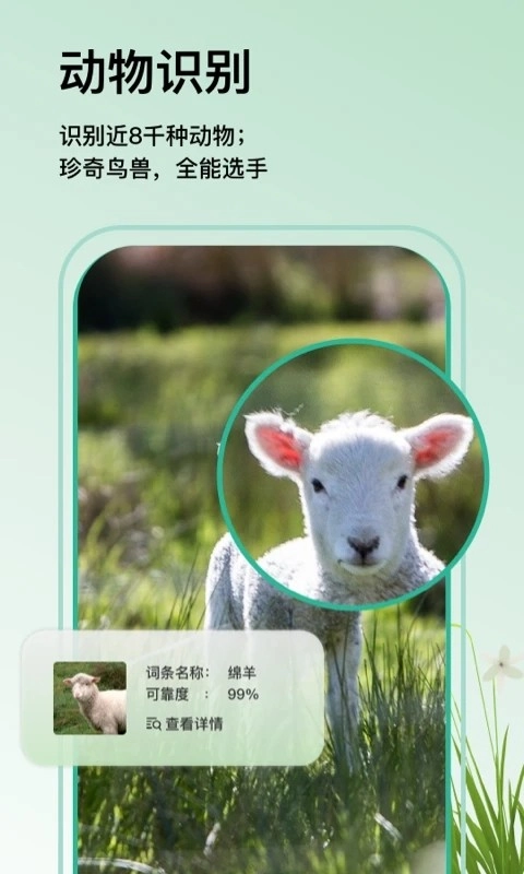 万物识图4