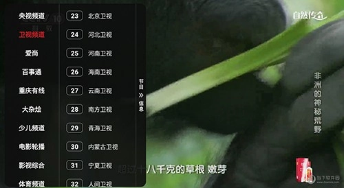 金叶影视2026官方最新版图4