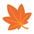 枫林网免费版