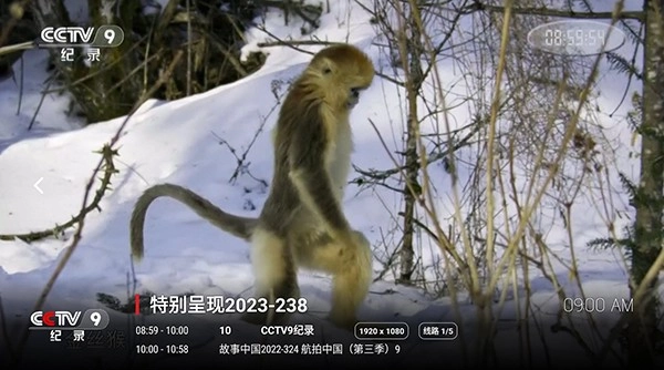 集影纯净版图4