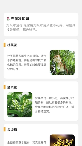 百花悦看免费版图1