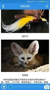 小蜂快游直装版图4