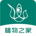 眼香直装版