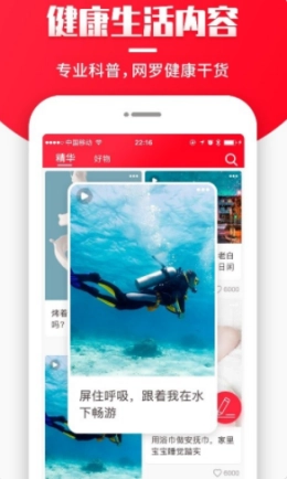 丹鹊正版图2