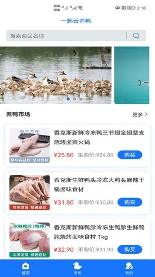 一起云养鸭手机正版图3