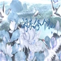 闲来修个仙手游无广告版