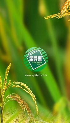 全民惠通用版图1