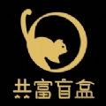 共富盲盒通用版
