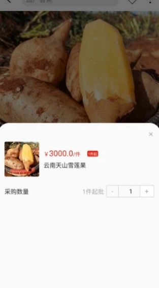 天蕉云果通用版图1