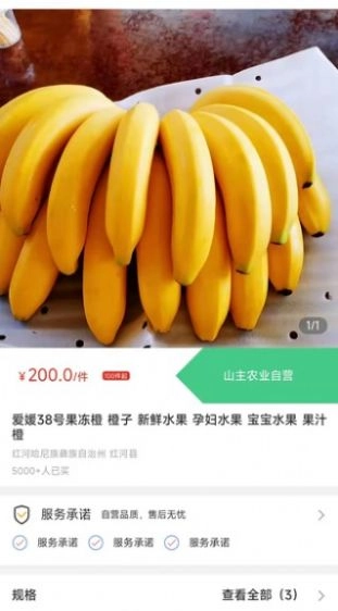 天蕉云果通用版图2